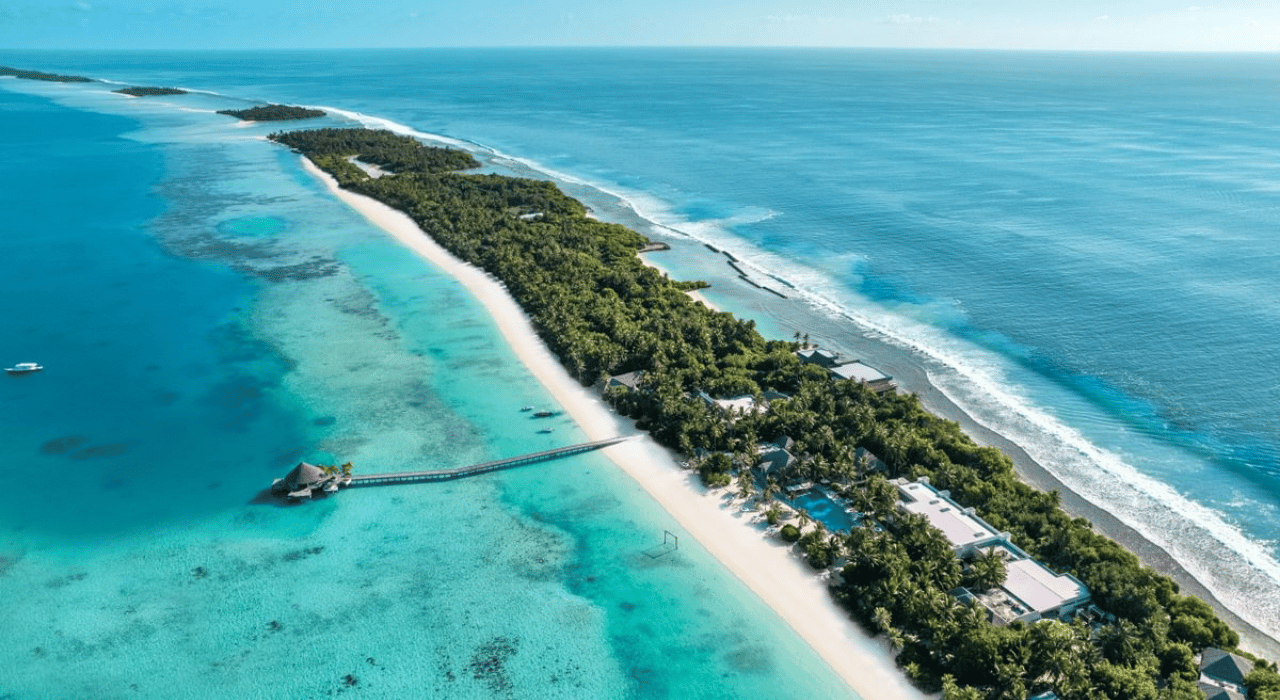 Untitled design 2026 01 28T104302.962