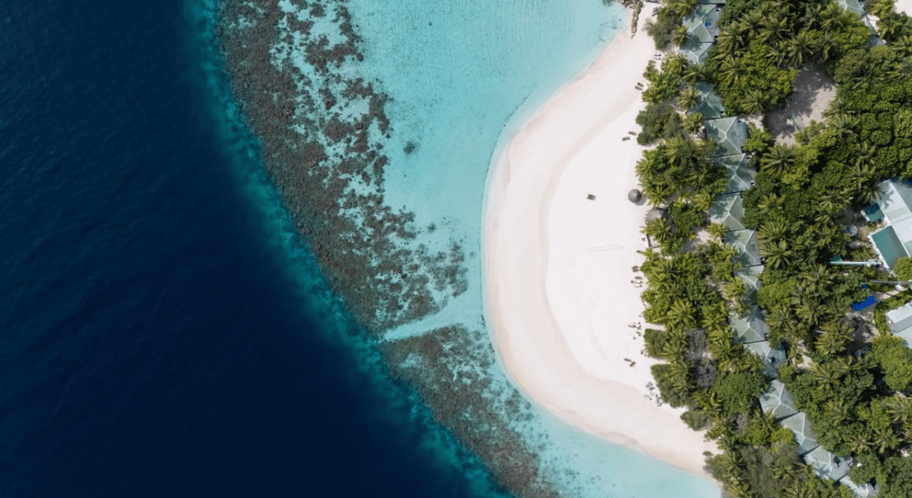 Untitled design - 2026-01-14T135158.929