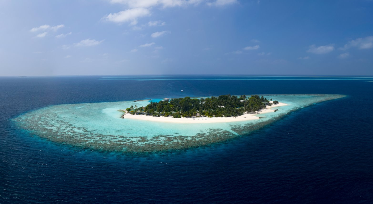 Untitled design 2026 01 19T164056.966